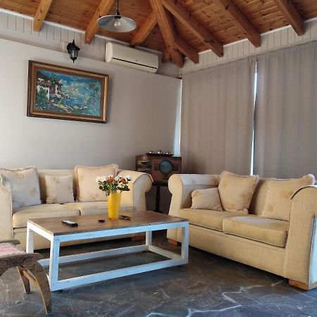 Alternative Country House 10 Minutes From Athens Airport 阿特米达 外观 照片