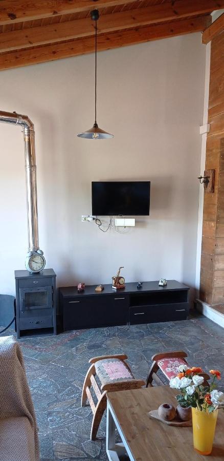 Alternative Country House 10 Minutes From Athens Airport 阿特米达 外观 照片