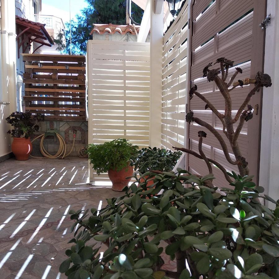 Alternative Country House 10 Minutes From Athens Airport 阿特米达 外观 照片