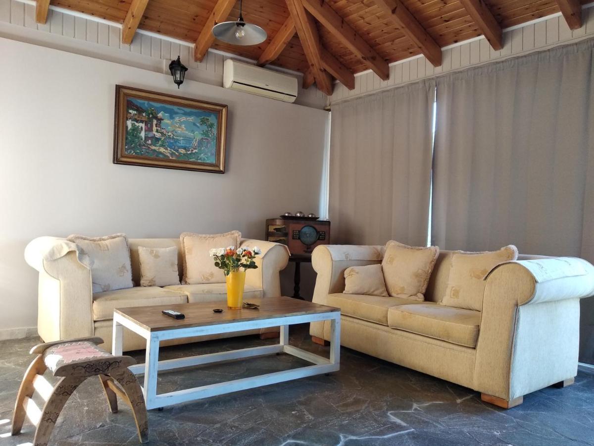 Alternative Country House 10 Minutes From Athens Airport 阿特米达 外观 照片
