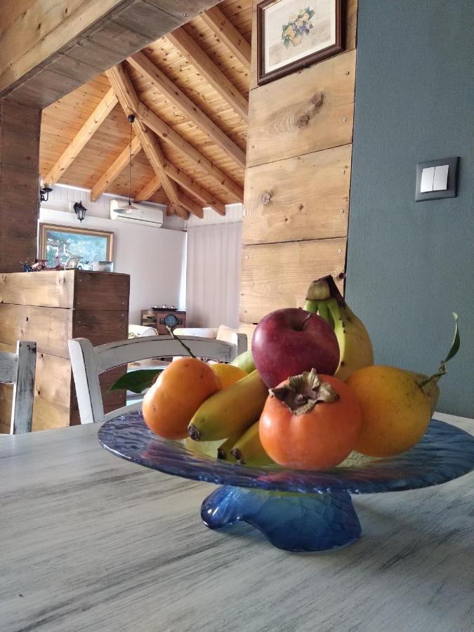 Alternative Country House 10 Minutes From Athens Airport 阿特米达 外观 照片